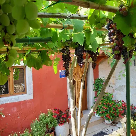 Marija מוטובון