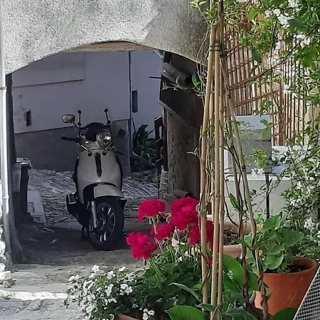 マリヤ モトヴン