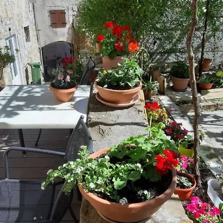 Guest house Marija 3*